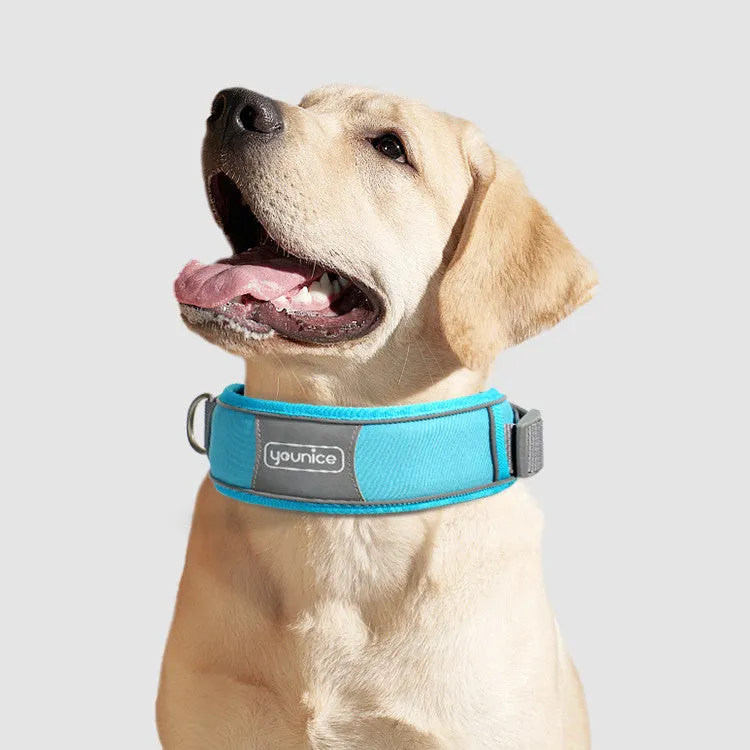 Anti-Explosion Cute Dog Collar & Leash Sets