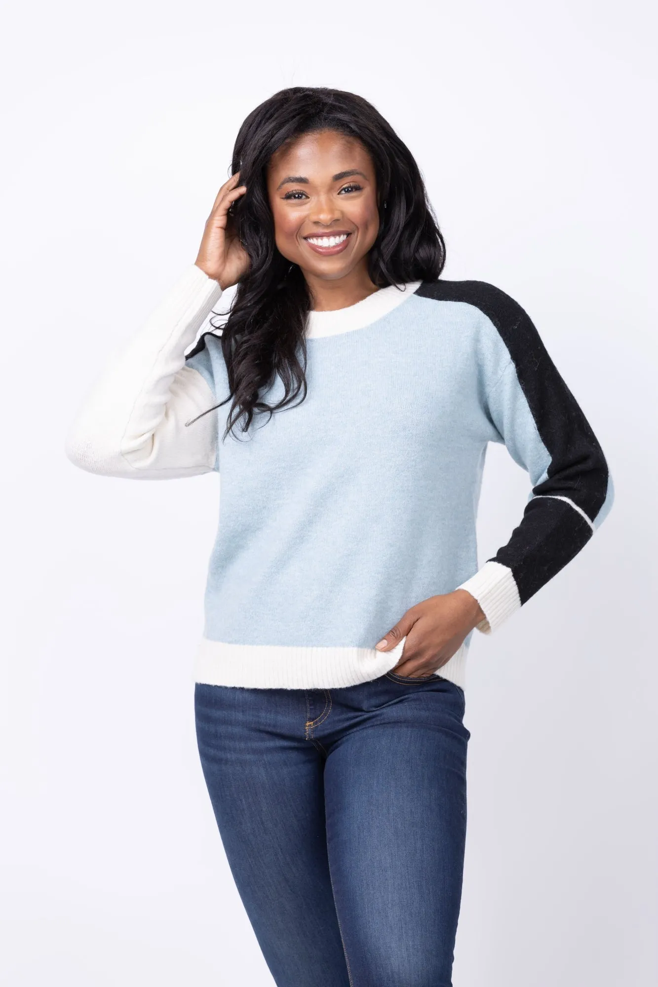 Central Park West Billie Blocked Crewneck Sweater in Blue Multi