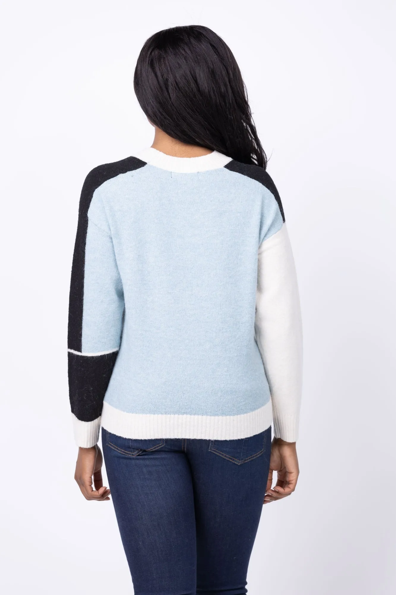 Central Park West Billie Blocked Crewneck Sweater in Blue Multi