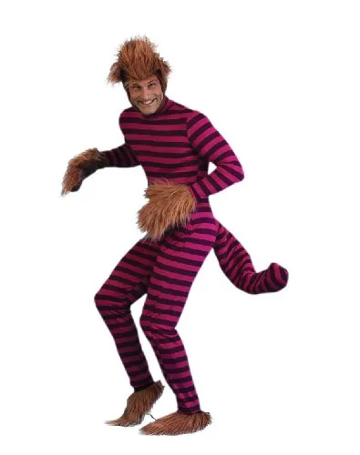 Cheshire Cat Costume / Alice in Wonderland