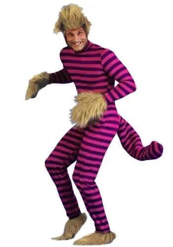 Cheshire Cat Costume / Alice in Wonderland