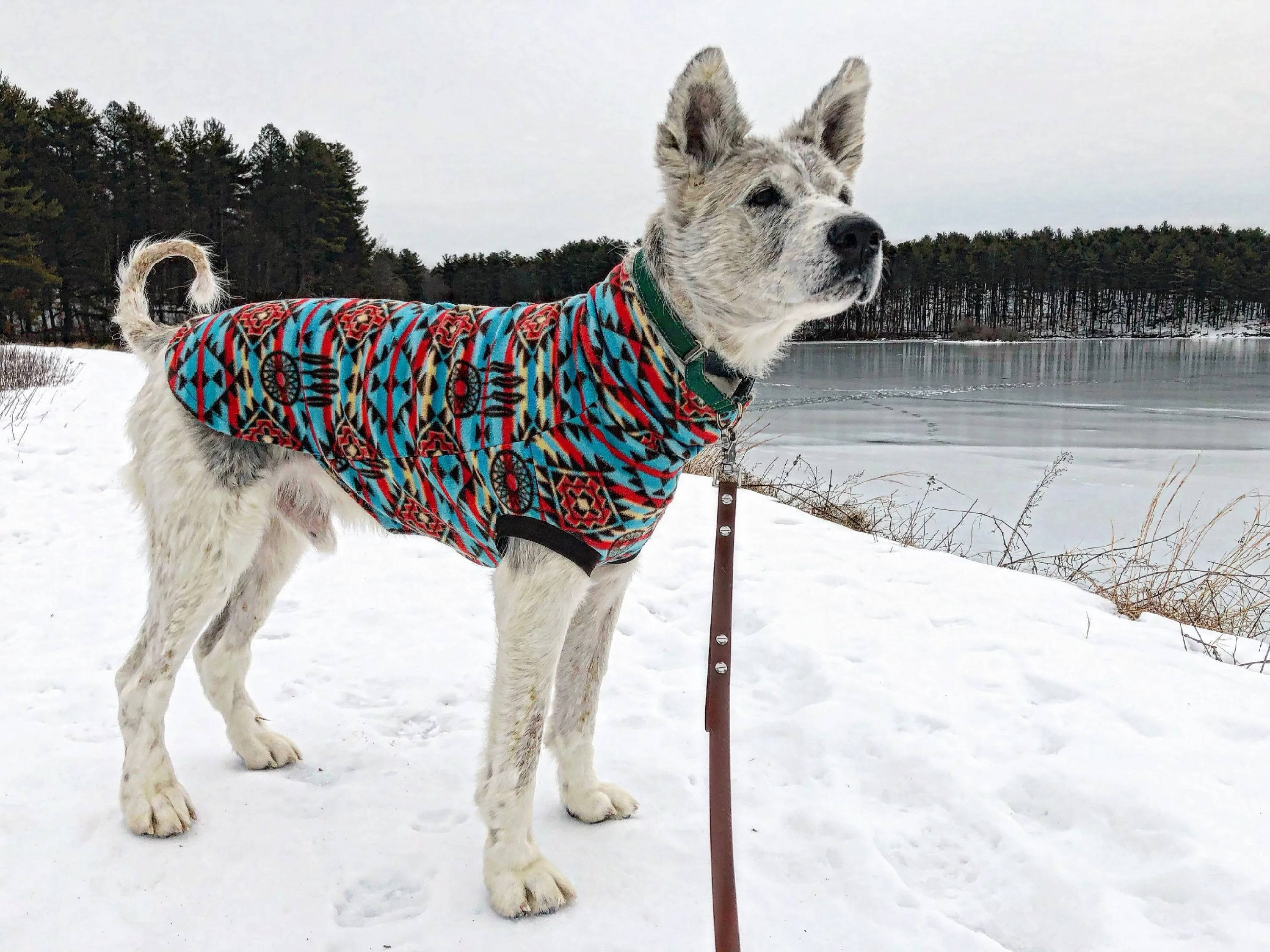 Dreamcatcher Aztec Dog Sweater