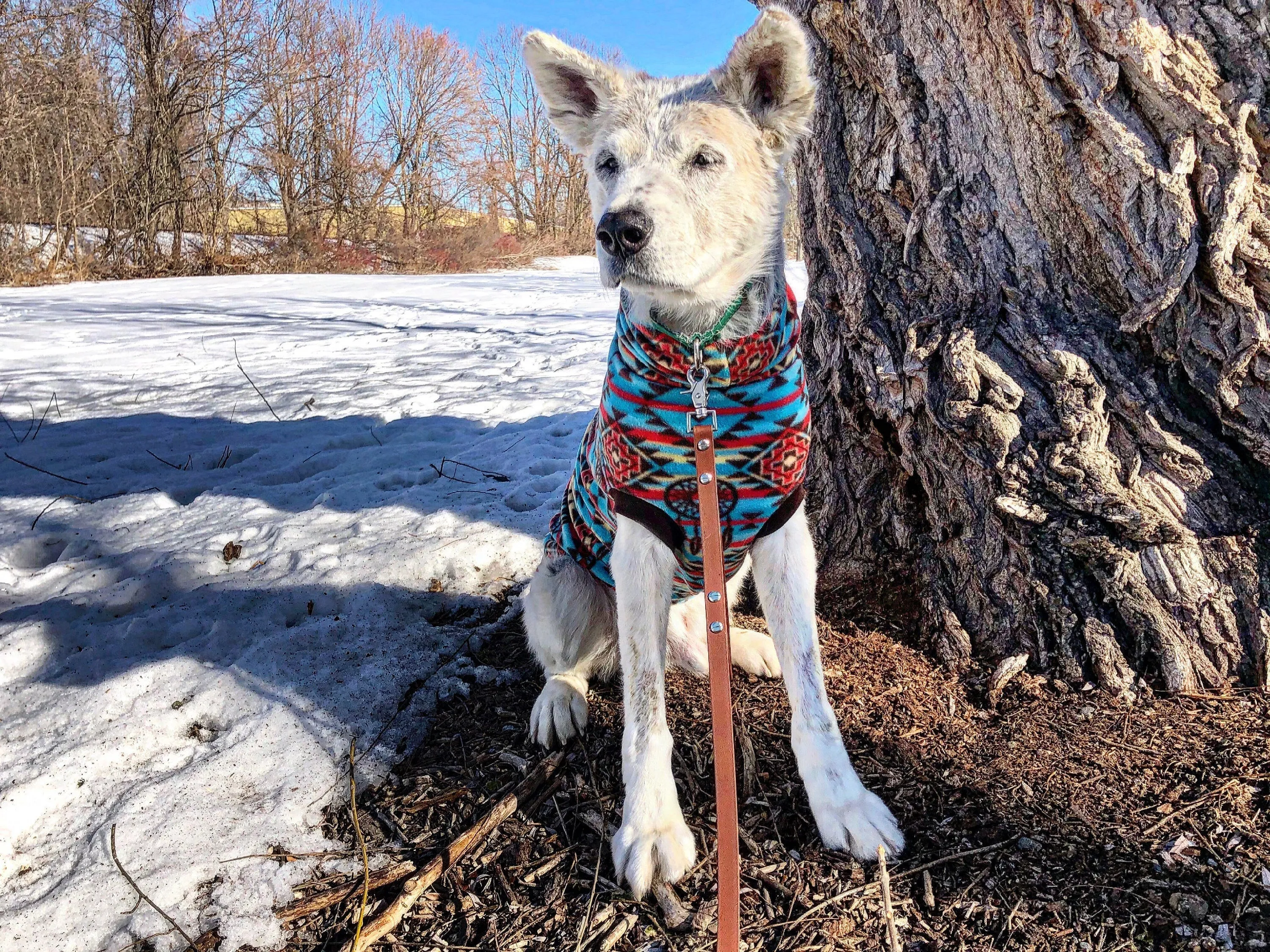 Dreamcatcher Aztec Dog Sweater