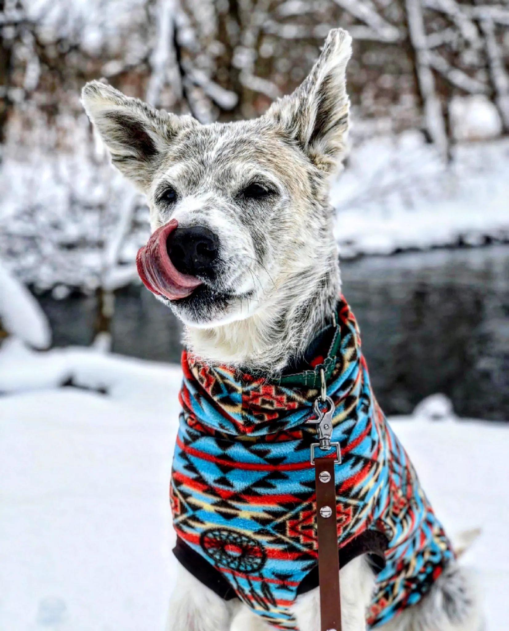 Dreamcatcher Aztec Dog Sweater