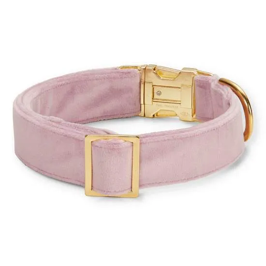 Foggy Dog  Lilac Velvet Dog Collar