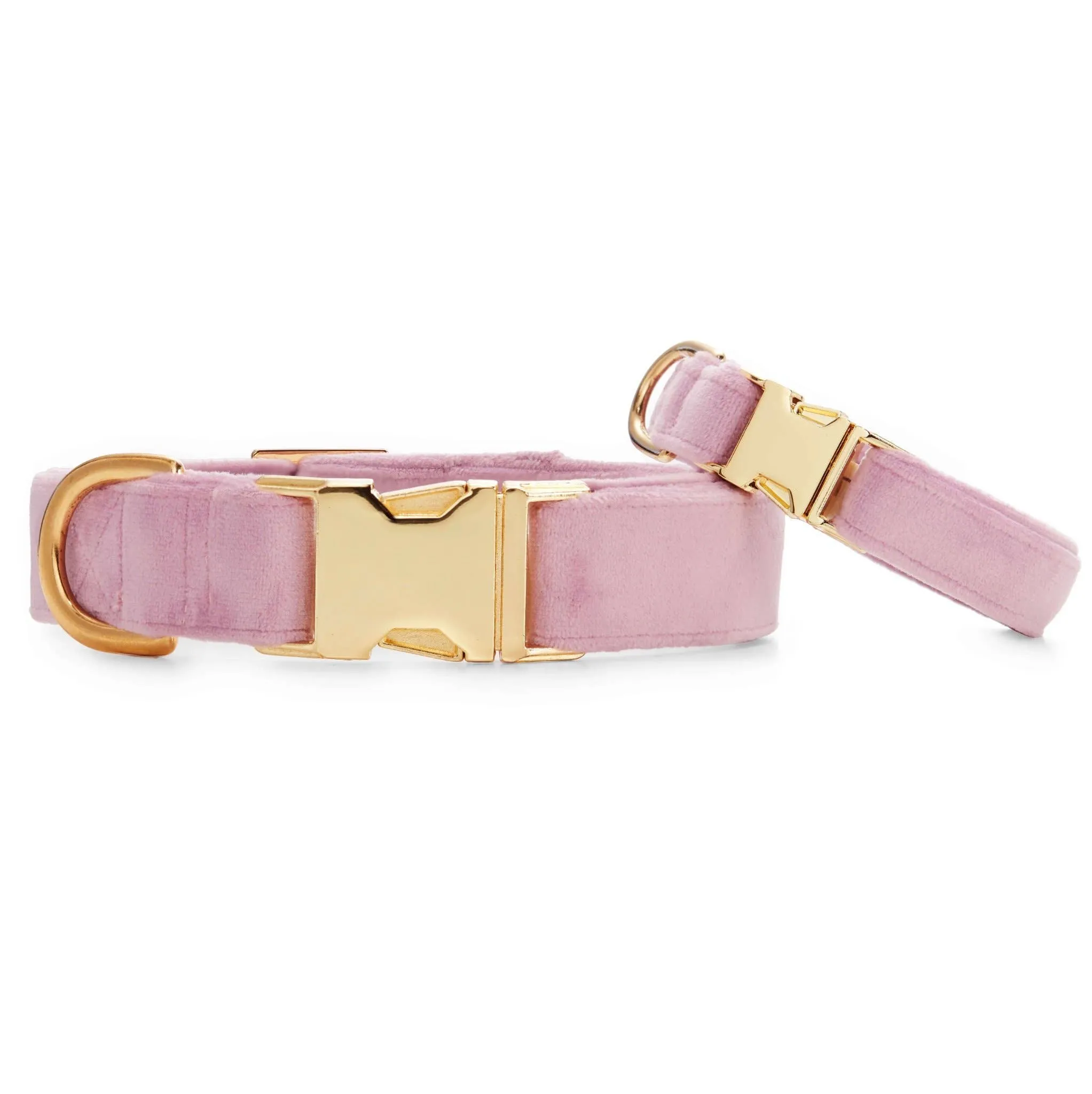 Foggy Dog  Lilac Velvet Dog Collar