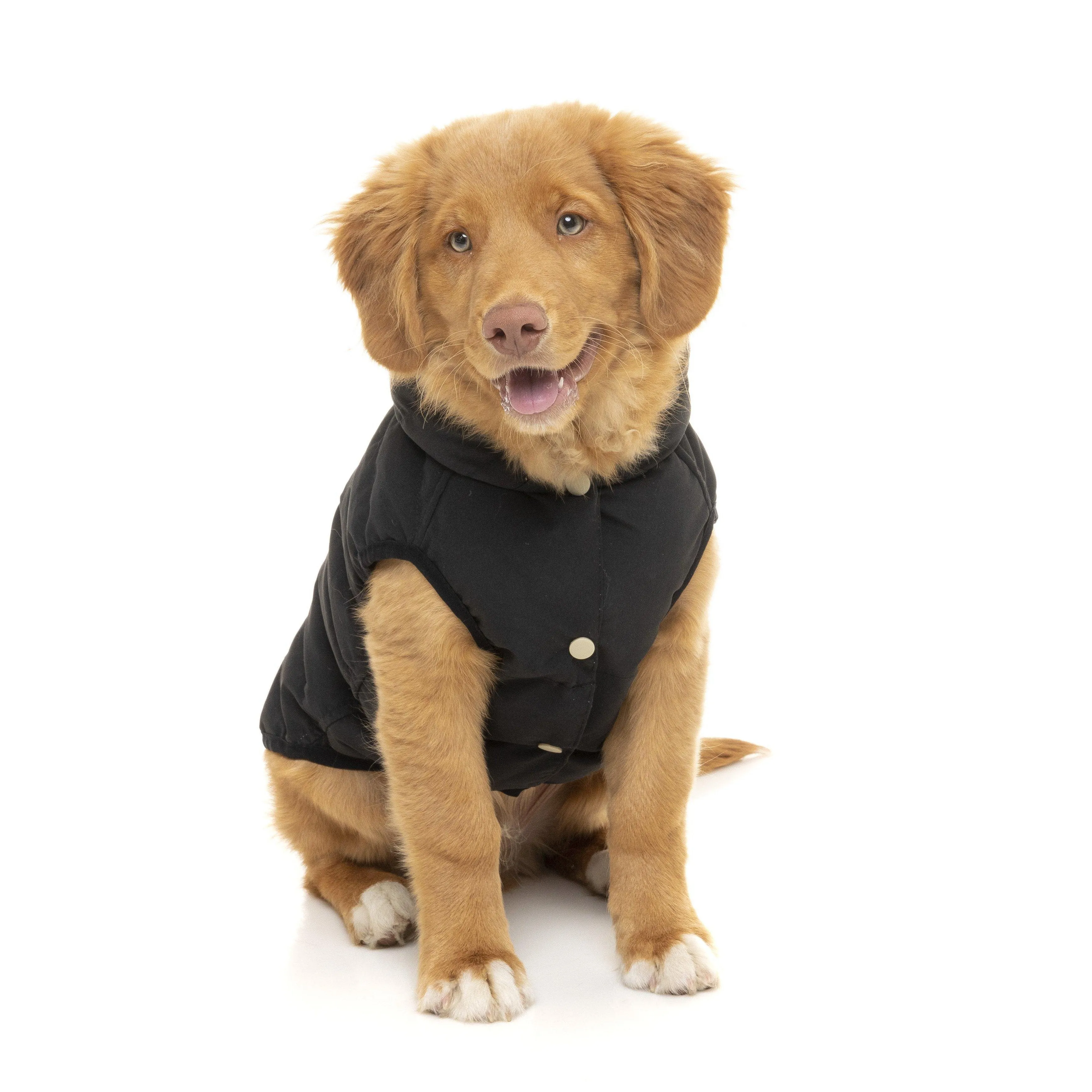 FuzzYard | Aspen Dog Jacket - Black