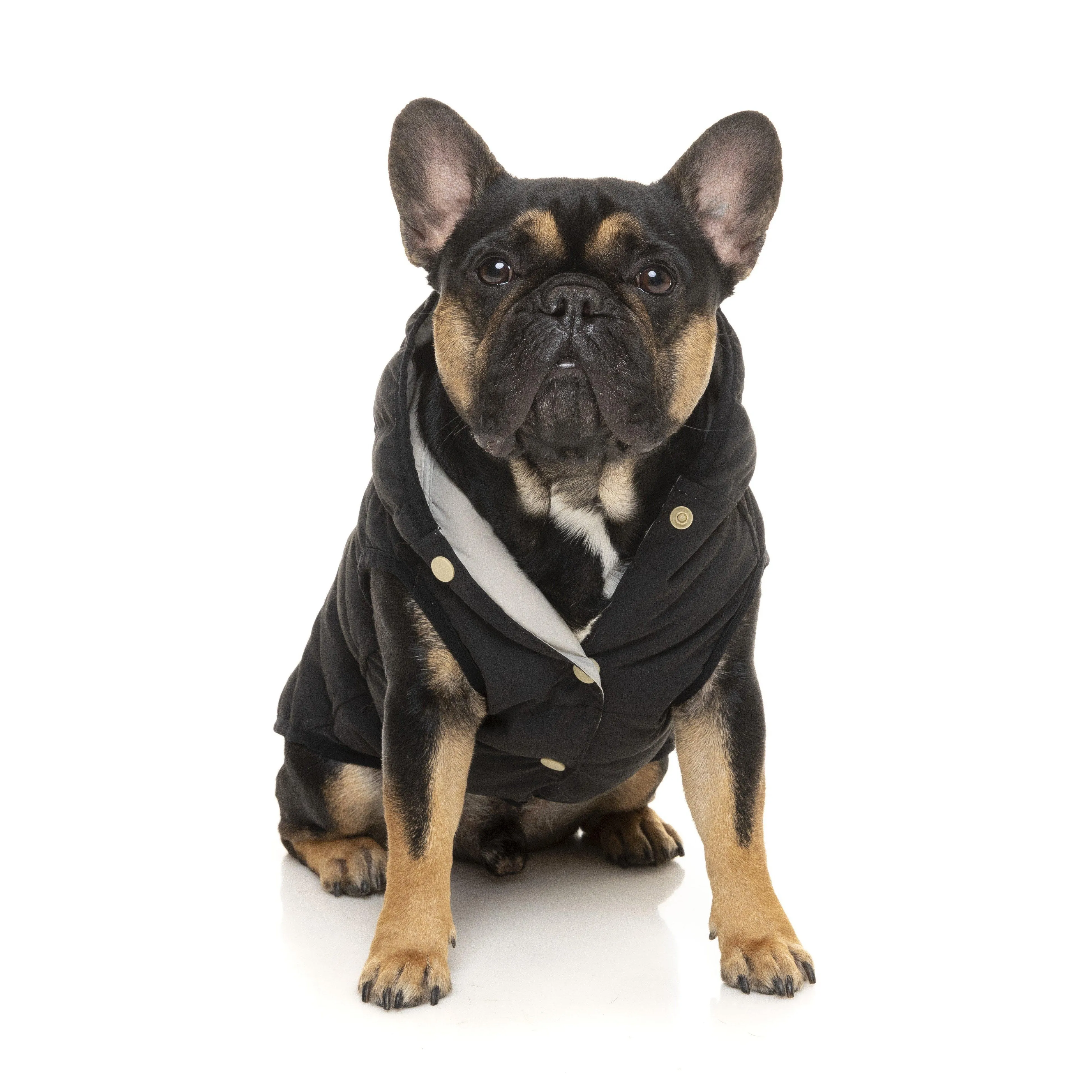 FuzzYard | Aspen Dog Jacket - Black