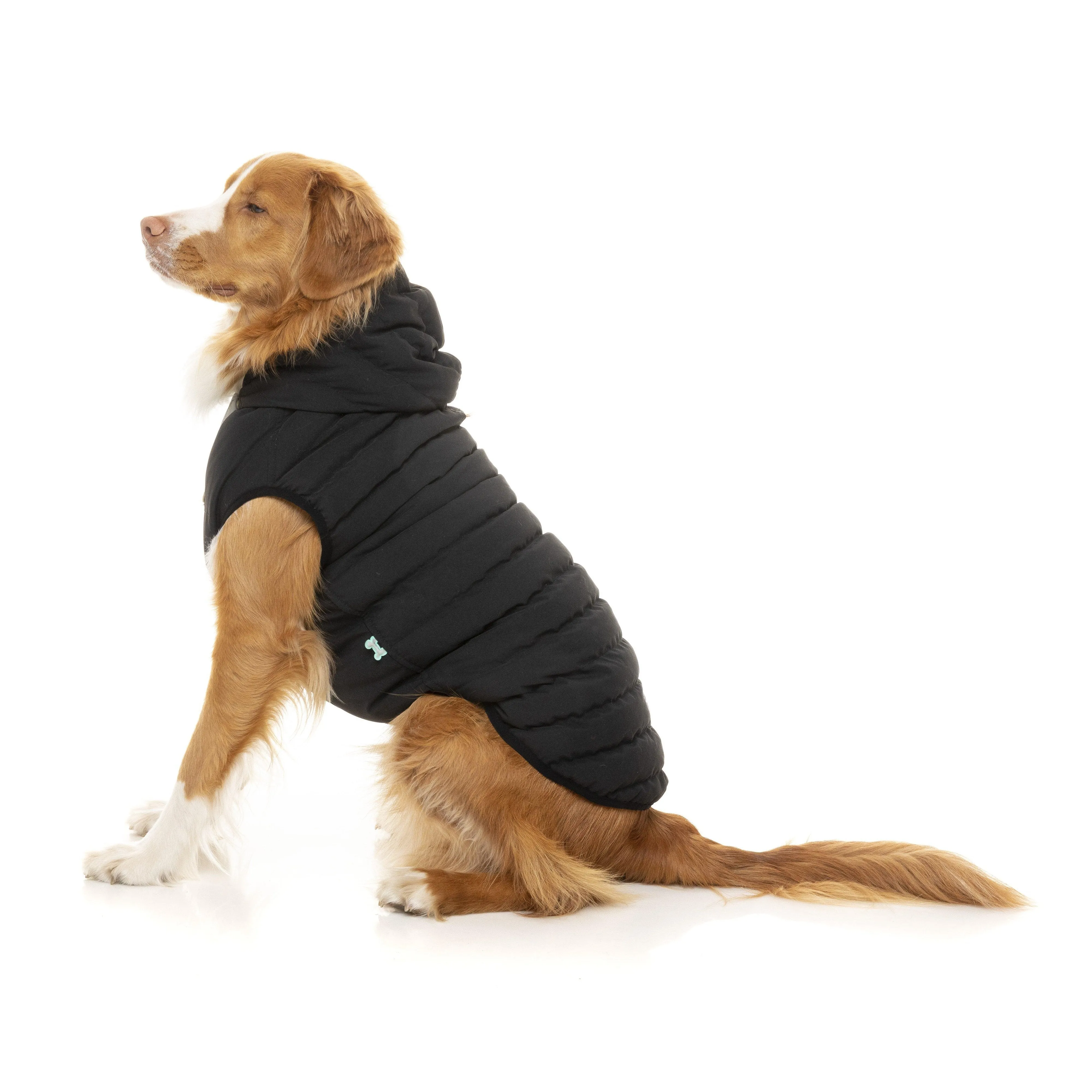 FuzzYard | Aspen Dog Jacket - Black