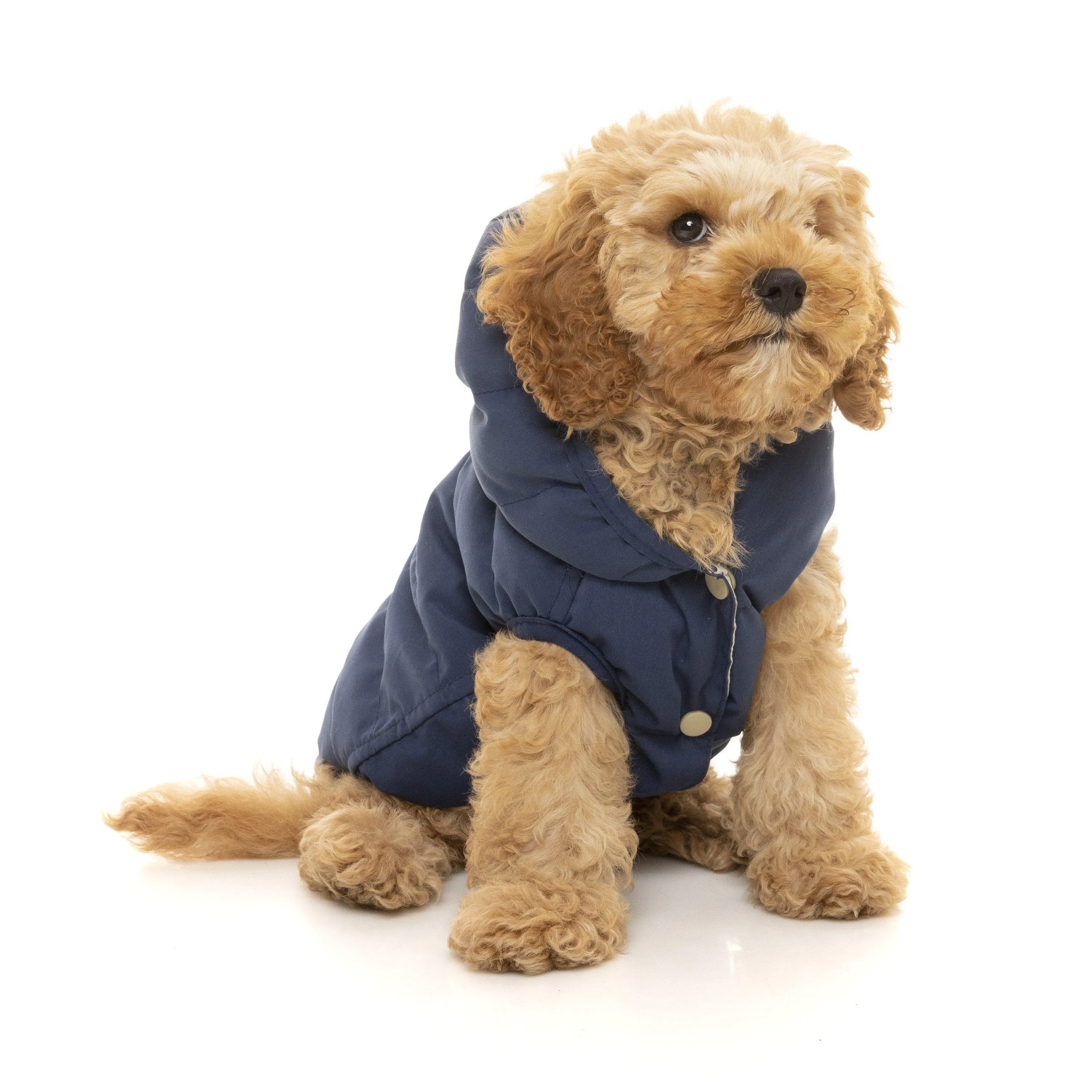 FuzzYard | Aspen Dog Jacket - Marine Blue