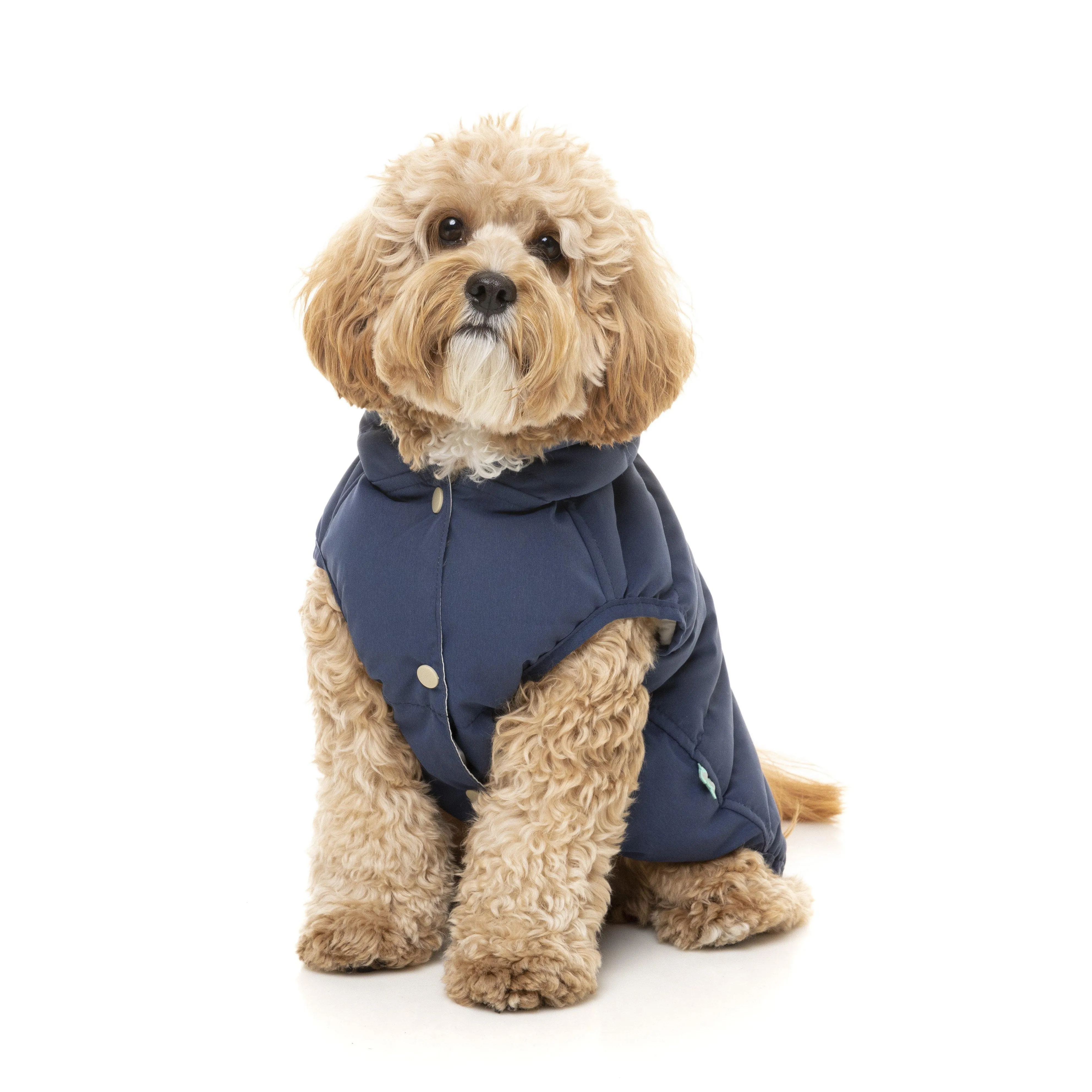 FuzzYard | Aspen Dog Jacket - Marine Blue