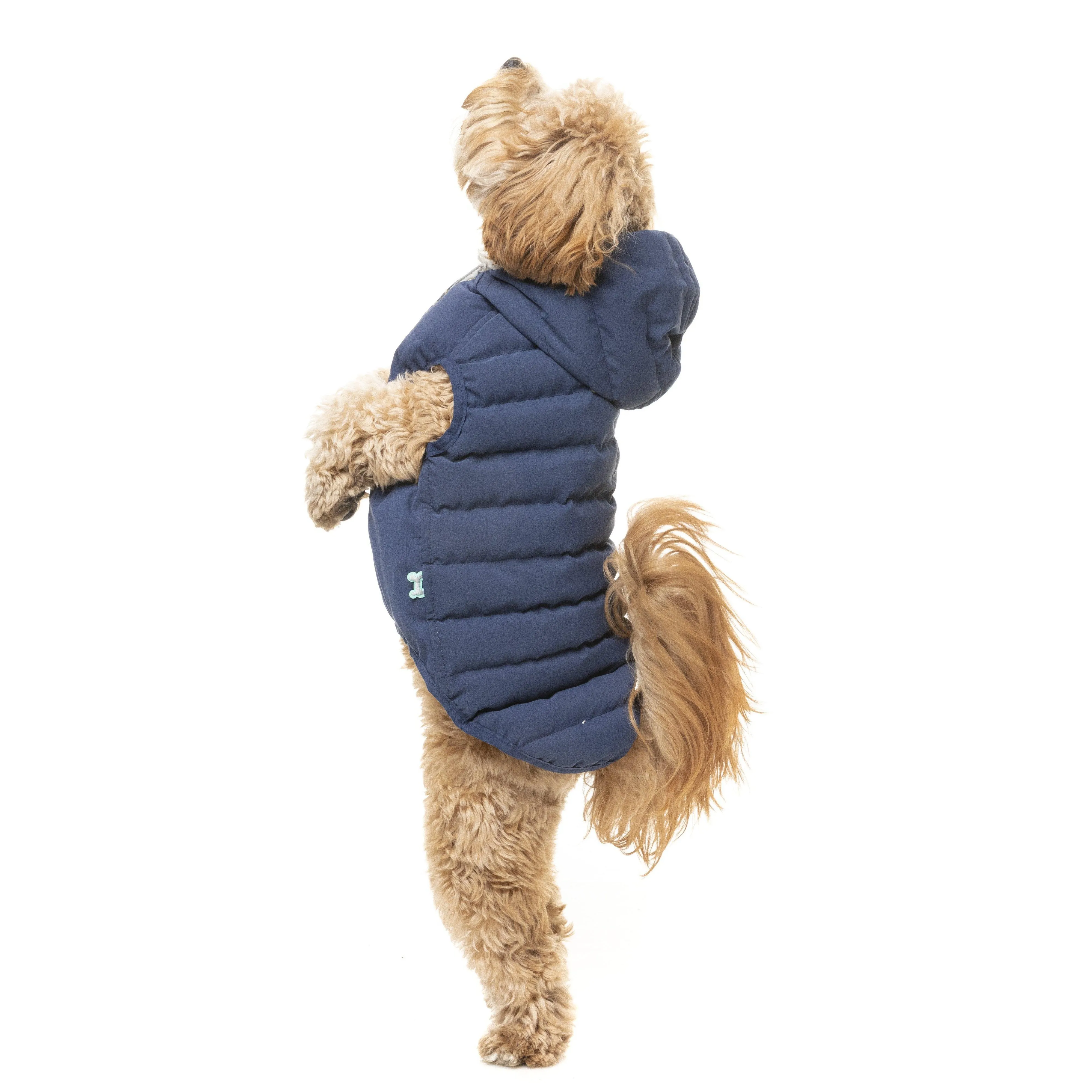 FuzzYard | Aspen Dog Jacket - Marine Blue