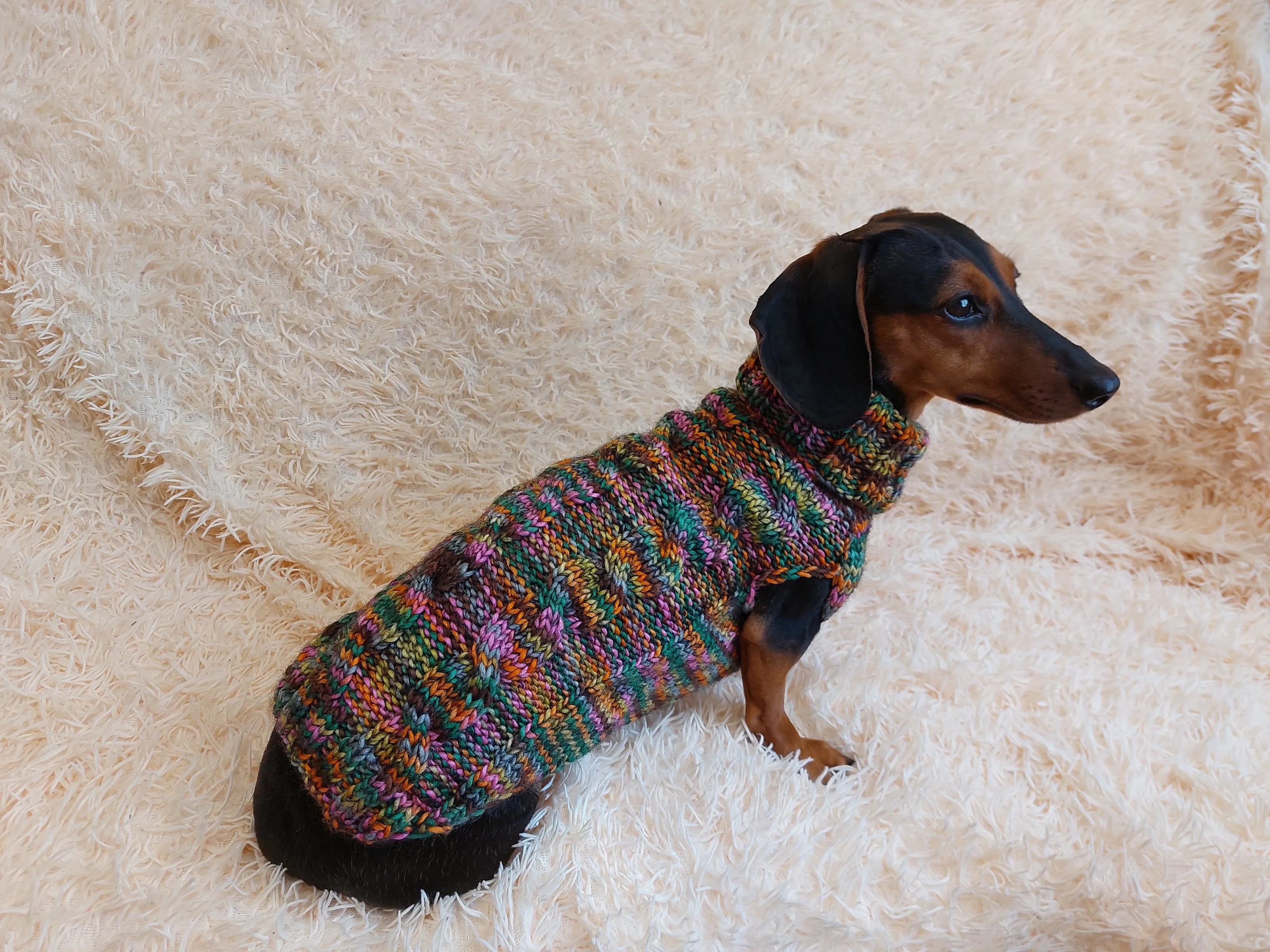 Knitted jumper for small dogs, sweater for small dachshund, sweater for chihuahua, sweater for yorkshire terrier, sweater for toy terrier