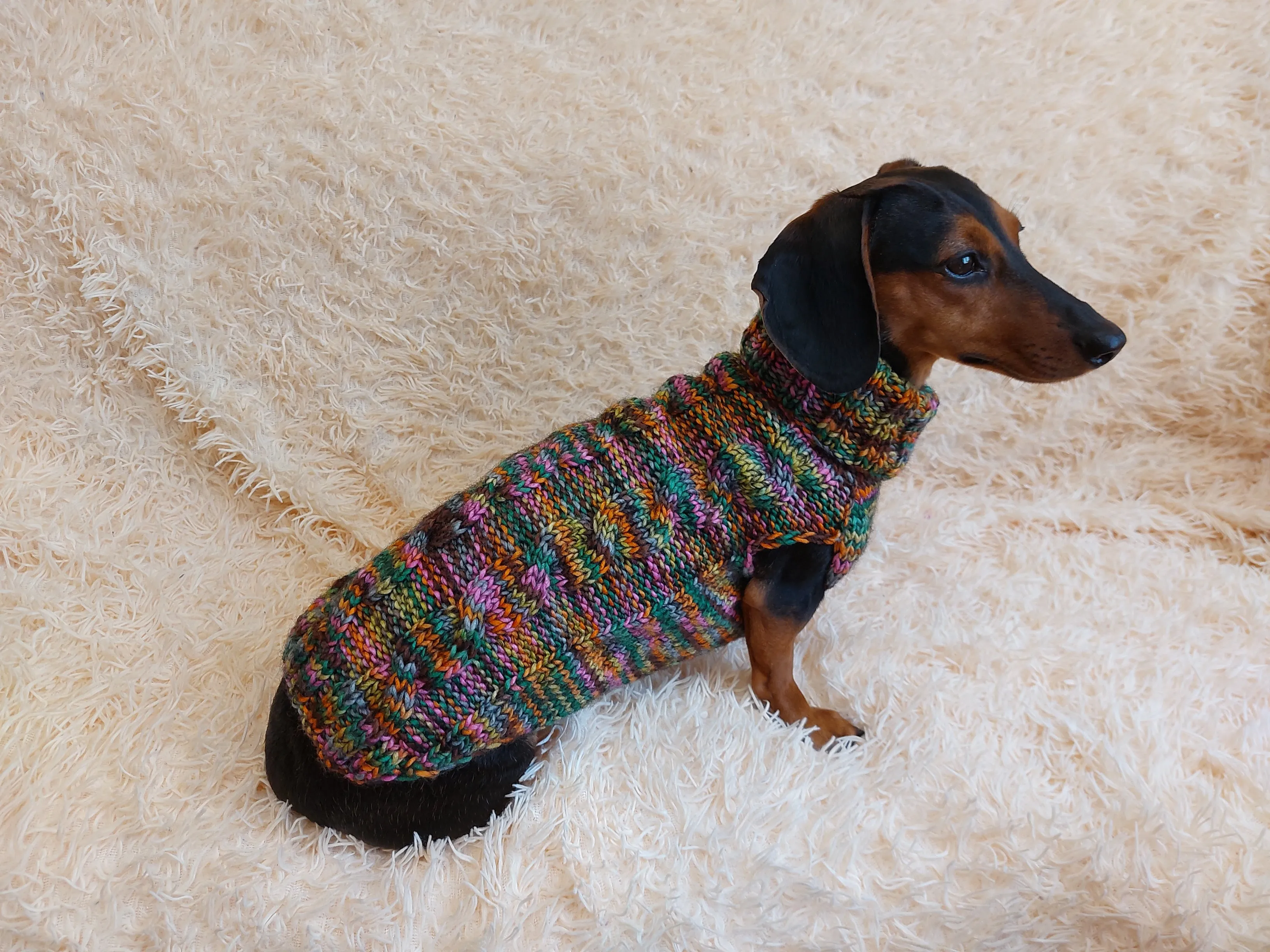 Knitted jumper for small dogs, sweater for small dachshund, sweater for chihuahua, sweater for yorkshire terrier, sweater for toy terrier