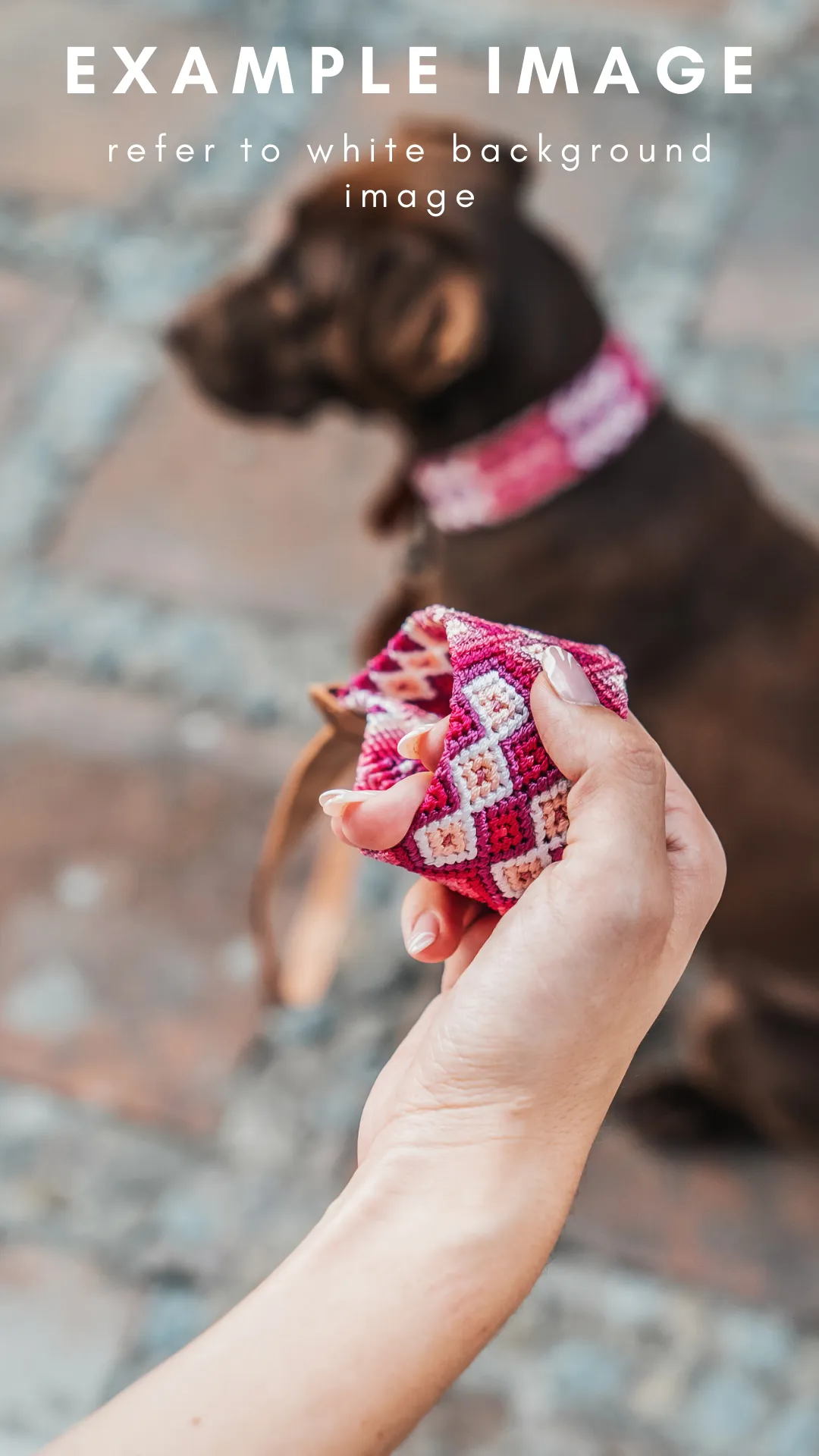 Mystery Collar & Leash Set